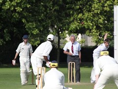 Umpire Mardle observes proceedings
