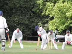 Telkman finds the middle of the bat