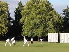 Rosson bowling
- picture from Andrew Walker