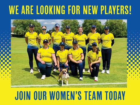 Join St Albans Women's cricket club