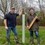 Brilliant Cricket Willow Idea! 