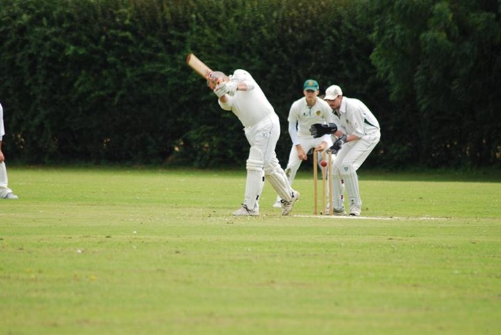 DSC_1004.JPG