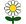 Image result for daisy