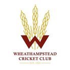 A logo for a cricket club Description automatically generated