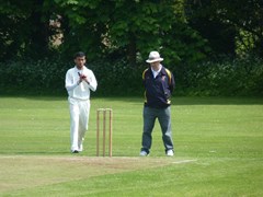 Chilli walking in to bowl