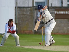 Tom batting