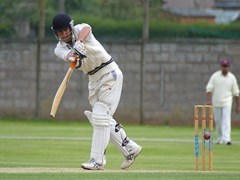 Tom batting