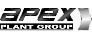 Apex