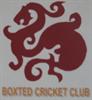 Boxted Cricket Club