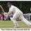 Coleman's fifty in vain for Horspath