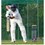 Asad stars with maiden Home Counties fifty