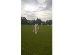 2017 Season Photos