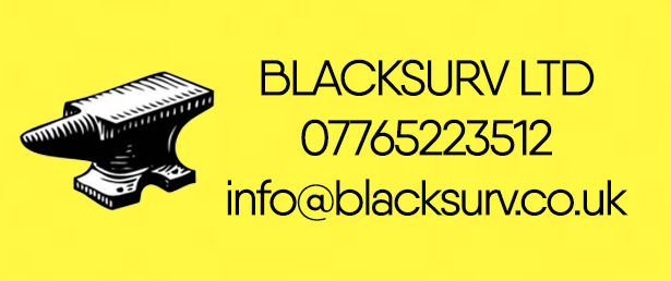 Blacksurv logo