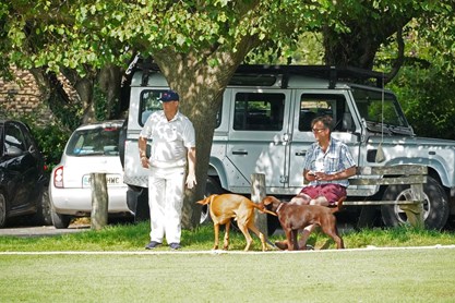 old men and dogs in the retirement quarter