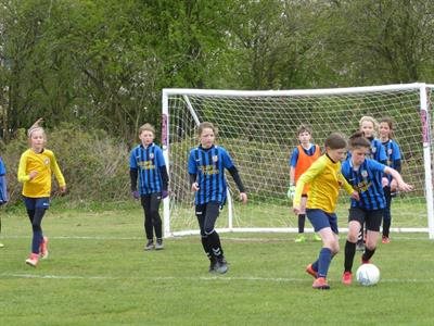 Harpenden Colts FC News story