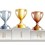 Internal Competitions