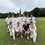 Cryptics victorious against Old Amplefordians