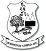 Wadhurst Junior Football Club