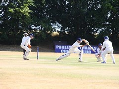 The skipper batting with alot of company