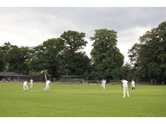 U11 Finals Day 2017 where Harrow won the county title.