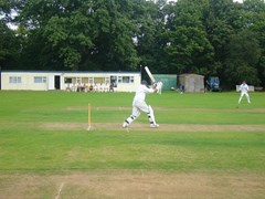 Oggy in action
