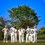 From debutants to centurions: a season taking shape
