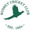 Bushey Cricket Club