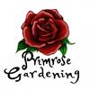 Primrose Gardening
