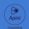 Apini Consulting